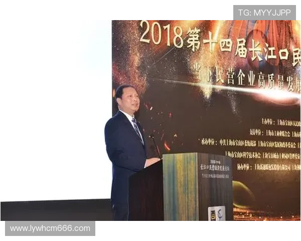 29岁刘姓中国企业家如何通过创新思维和战略布局实现事业腾飞